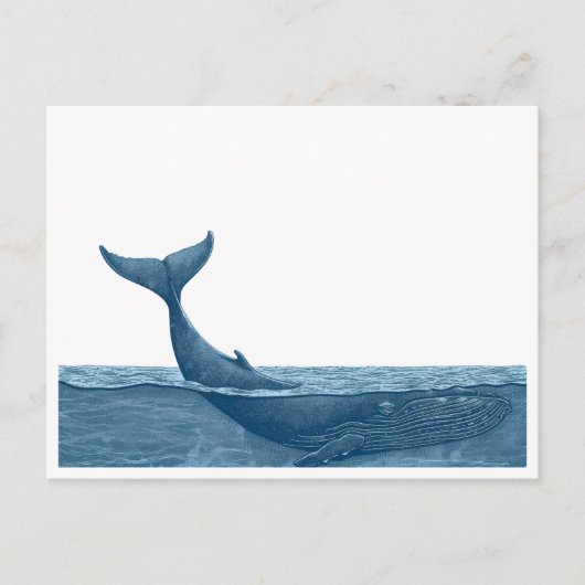 Carte Postale Baleines dans l'océan (Devant)