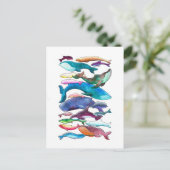 Carte Postale Baleines, dauphins et marsouins (Debout devant)