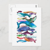 Carte Postale Baleines, dauphins et marsouins (Devant / Derrière)