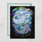 Carte Postale Baleines de Beluga (Devant / Derrière)