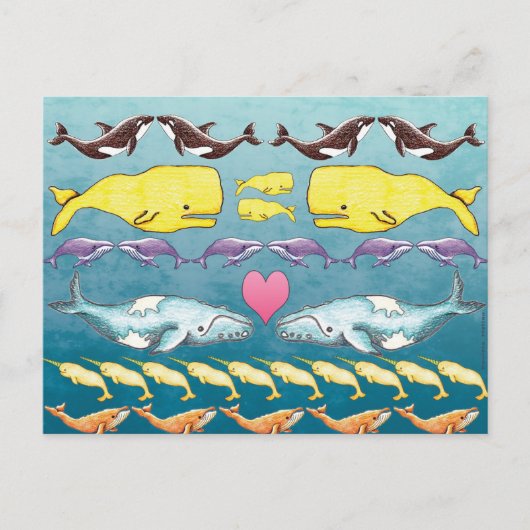 Carte Postale Baleines de la mer (Devant)