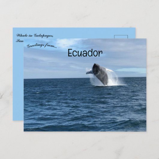 Carte Postale Baleines en Galapagos Père Noël Cruz Ecuador (Devant / Derrière)