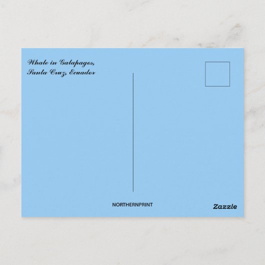 Carte Postale Baleines en Galapagos Père Noël Cruz Ecuador (Dos)