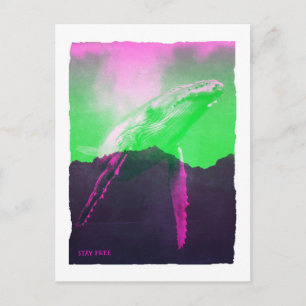 Carte Postale Baleines Rester Gratuit