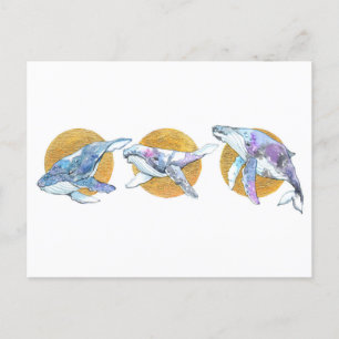 Carte Postale Baleines Trio flottent et rêvent A