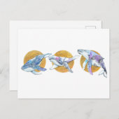 Carte Postale Baleines Trio flottent et rêvent A (Devant / Derrière)