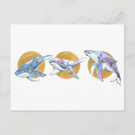 Carte Postale Baleines Trio flottent et rêvent A (Devant)