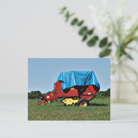 Carte Postale Baler (Debout devant)