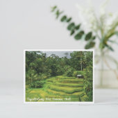 Carte Postale Bali Rice Terraces Scenic Travel Postcard (Debout devant)