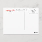 Carte postale Bali Statue (Dos)