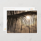 Carte Postale Bali Sunset Palm Leaf – Travel Postcard (Devant / Derrière)