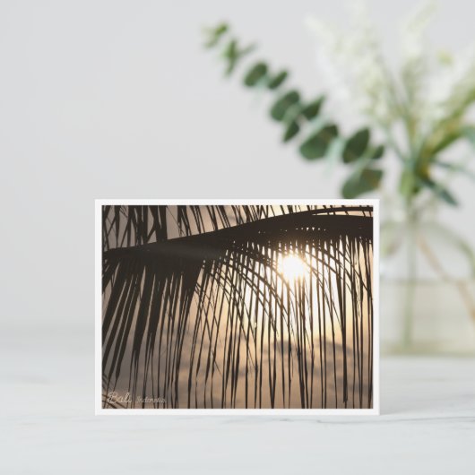 Carte Postale Bali Sunset Palm Leaf – Travel Postcard (Debout devant)