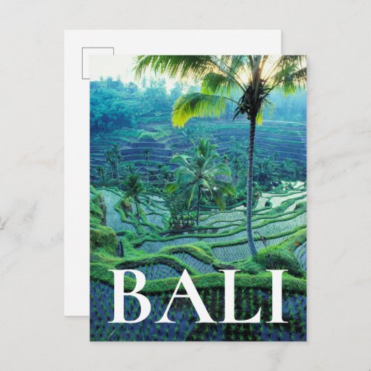 Carte Postale Bali | Vue D'Ensemble Des Terrasses De Riz (Devant / Derrière)