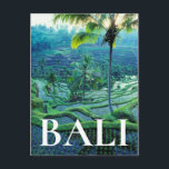 Carte Postale Bali | Vue D'Ensemble Des Terrasses De Riz<br><div class="desc">Indonésie,  Bali,  Vue D'Ensemble Des Terrasses De Riz Avec Eau Et Plantes,  Palmiers | Photos de conception / DanitaDelimont | AS11 DPI0183</div>