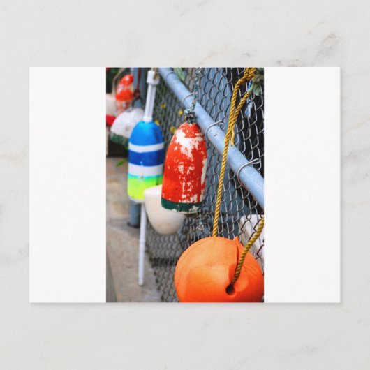 Carte Postale Balises sur la barrière (Devant)