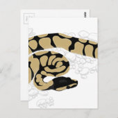 Carte Postale Ball Python Snake (Devant / Derrière)