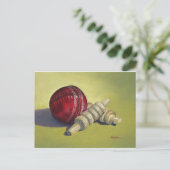Carte Postale Balle de cricket et voiles (Debout devant)