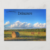 Carte Postale Balles de foin à l'extérieur de Georgetown Delawar (Devant)