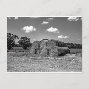 Carte Postale Balles de foin dans la campagne Norfolk