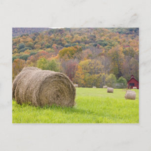 Carte Postale Balles de foin et feuillage d'automne à la ferme,