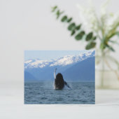 Carte Postale Ballet Pacifique (Debout devant)