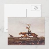 Carte Postale Balling Ostriches (Devant / Derrière)