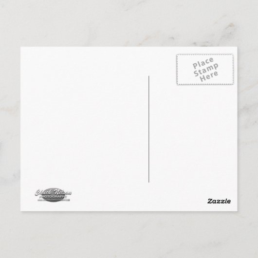 CARTE POSTALE BALLON 3 (Dos)