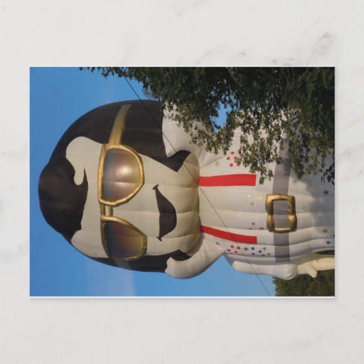 Carte Postale Ballon à air chaud à Binghamton, NY (Devant)