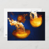 Carte postale Ballon sous-marin (Devant / Derrière)