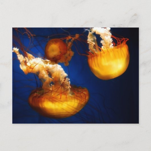 Carte postale Ballon sous-marin (Devant)