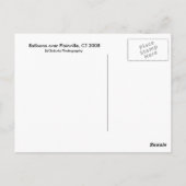 Carte Postale Ballons à air chaud Plainville Ct (Dos)