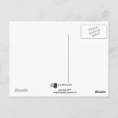 Carte Postale Ballons de l'Ascension de masse (Dos)