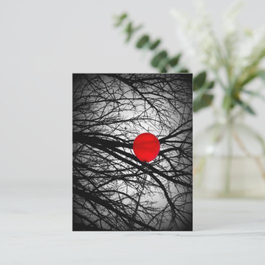 Carte Postale Ballons rouges (Debout devant)