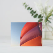 Carte postale Balloon (Debout devant)
