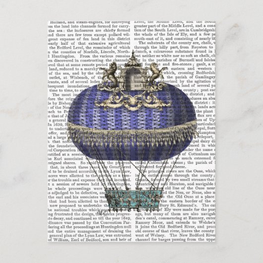 Carte Postale Balloon d'Imaginaire baroque 5 (Devant)