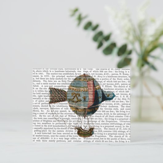 Carte Postale Ballotte à air chaud avec plume de queue (Debout devant)