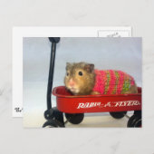 Carte Postale Baloo se lance dans un tour de Wagon (Devant / Derrière)