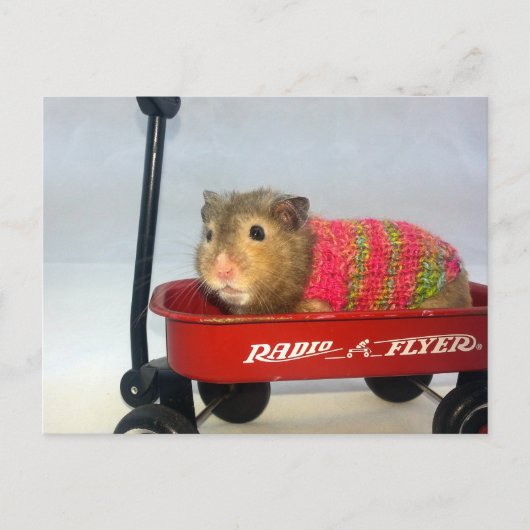 Carte Postale Baloo se lance dans un tour de Wagon (Devant)