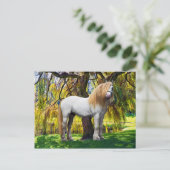 Carte postale "Balthasar" (Debout devant)