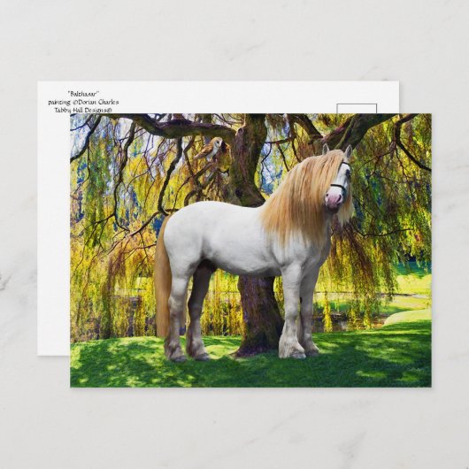 Carte postale "Balthasar" (Devant / Derrière)