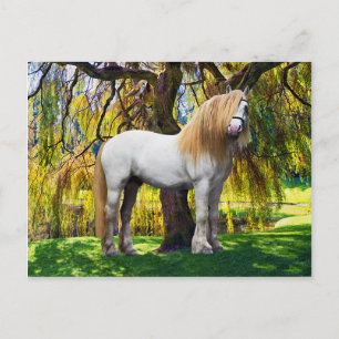 Carte postale "Balthasar"