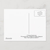 Carte postale Baltimore, Maryland (Dos)