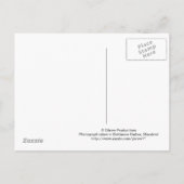 Carte postale Baltimore, Maryland (Dos)