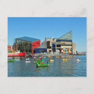 Carte postale Baltimore National Aquarium, USA