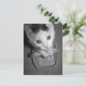 carte postale bambam kitty (Debout devant)