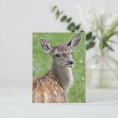 Carte postale Bambi (Debout devant)