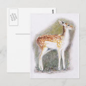 Carte Postale Bambi (Devant / Derrière)