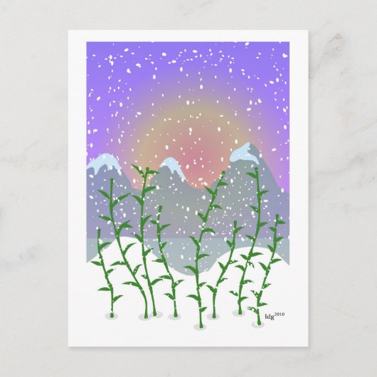Carte postale Bamboo Winter (Devant)