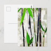 Carte Postale Bambou (Devant / Derrière)