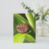 Carte Postale Bambou (Debout devant)